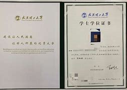 安徽大学本科毕业证书