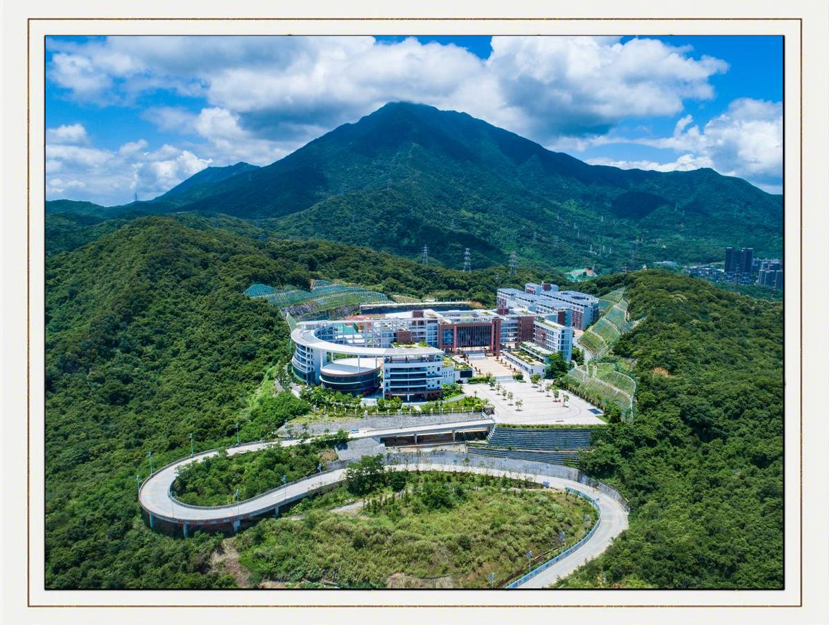 深圳大学内部网